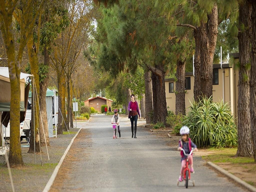 ホテル Big 4 Barossa Tourist Park ヌリオートゥパ エクステリア 写真