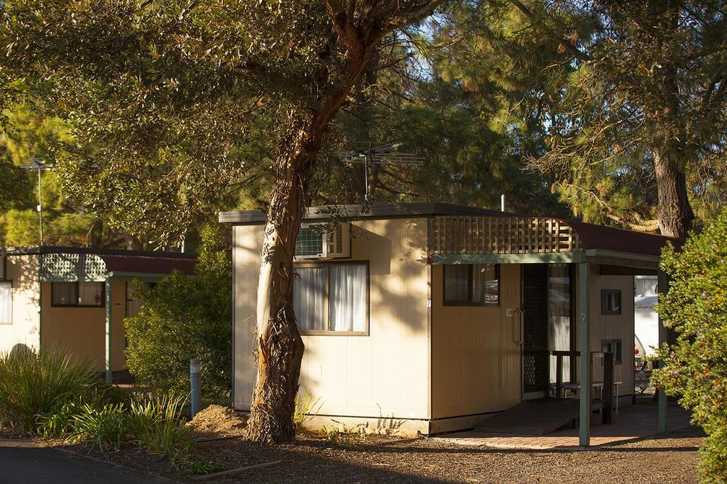 ホテル Big 4 Barossa Tourist Park ヌリオートゥパ 部屋 写真